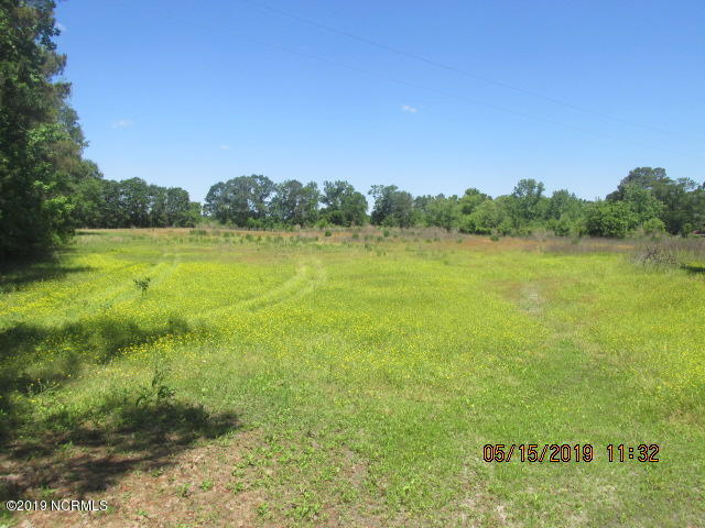 5305 River Road Vanceboro, NC 28586 - Photo 15 of 20 Land View 3