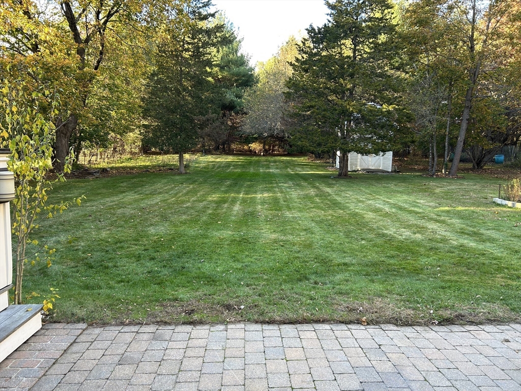 71 Morse Street Sharon, MA 02067 - Photo 35 of 40 a view of park with trees