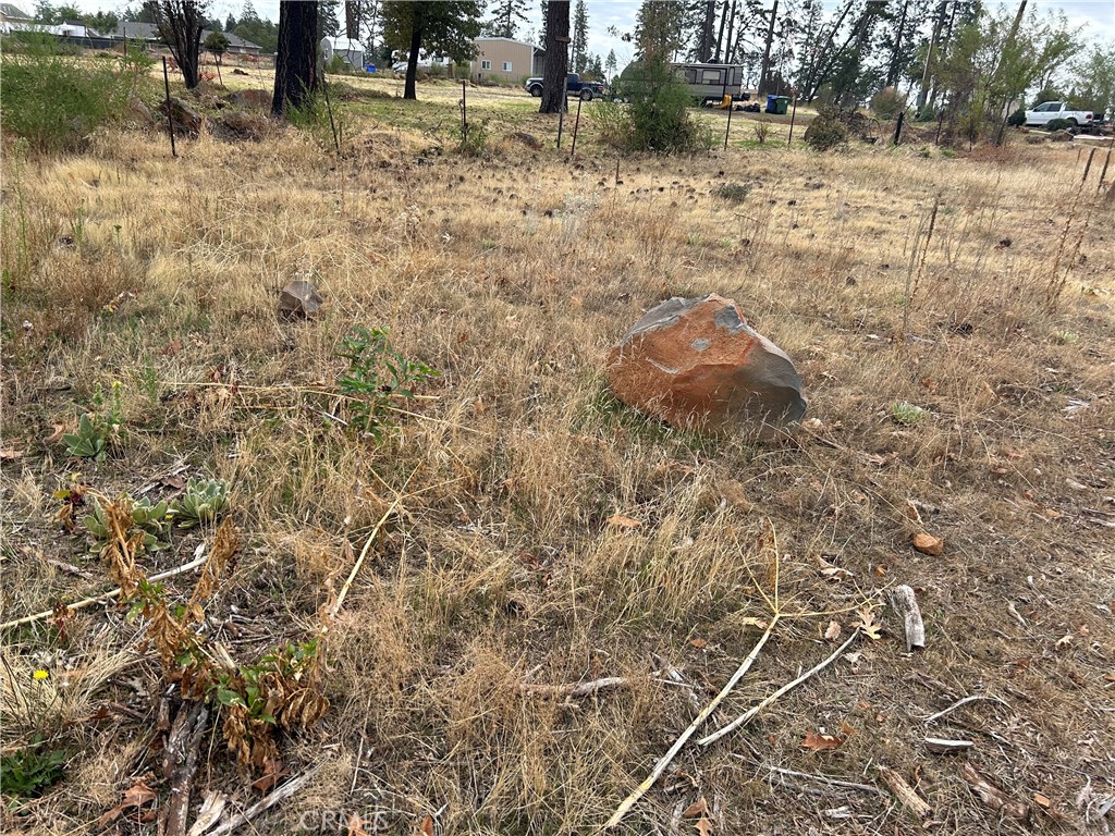 1243 Wagstaff Road Paradise, CA 95969 - Photo 6 of 12