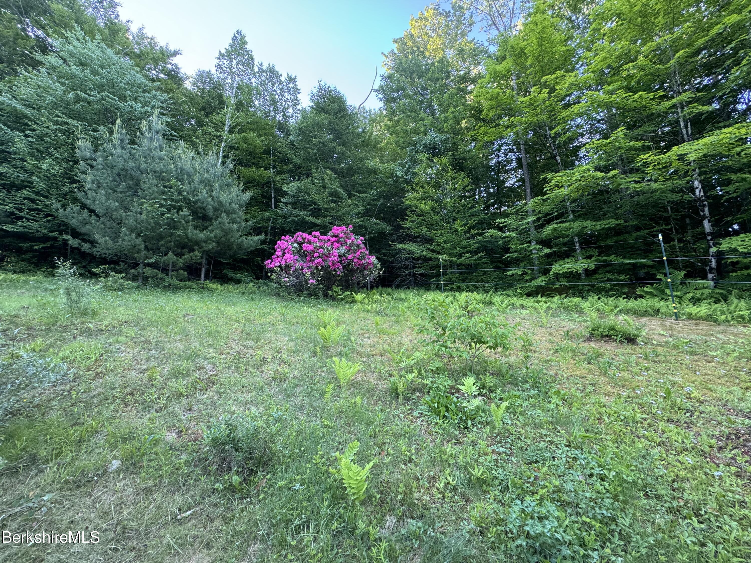 394 E Road Stamford, VT 05352 - Photo 38 of 43 Rhododendron