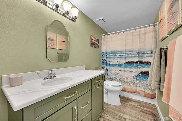 a bathroom with a sink a toilet and shower curtain