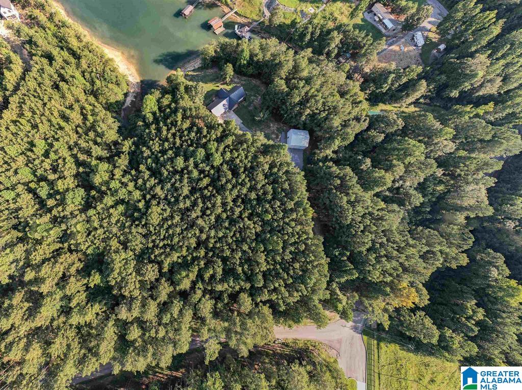 Lot D Camp Jimmy Goodwin Road, Unit LOT D Jasper, AL 35503 - Photo 9 of 13