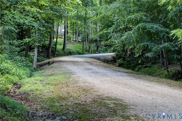 a view of a forest with trees in the background
