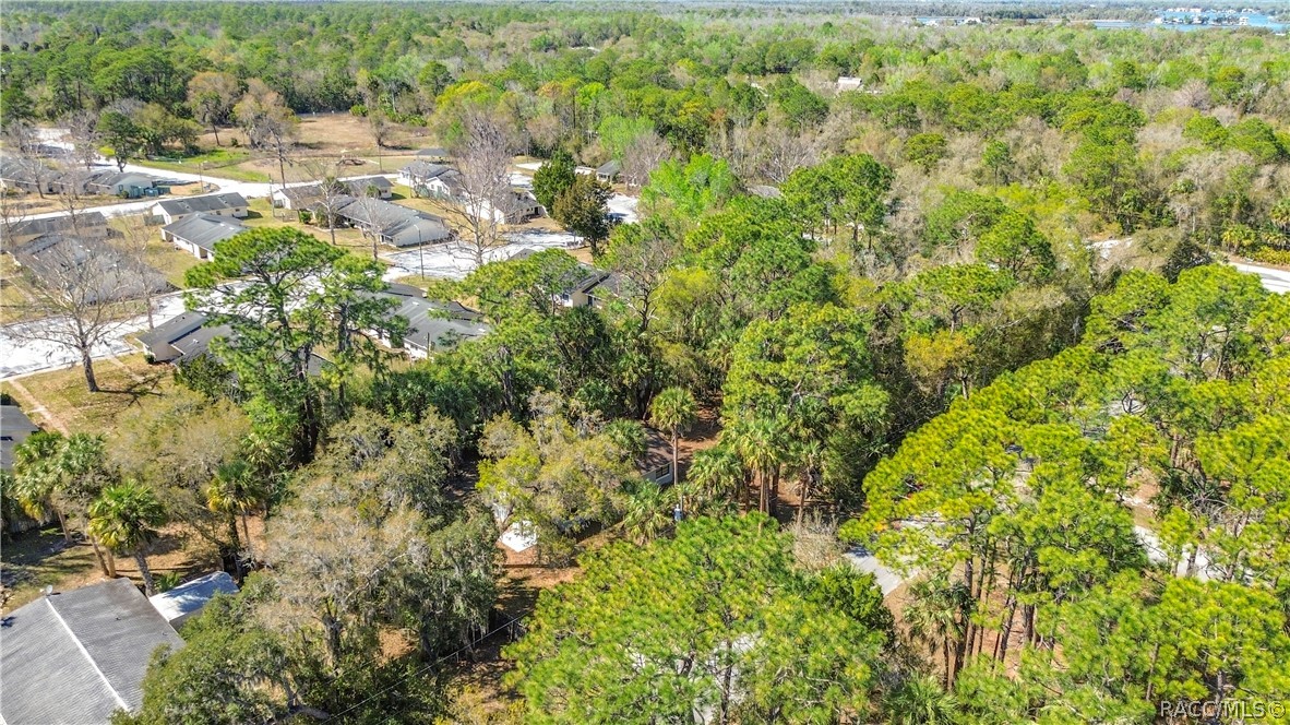 416 North Hourglass Terrace Crystal River, FL 34429 - Photo 6 of 62