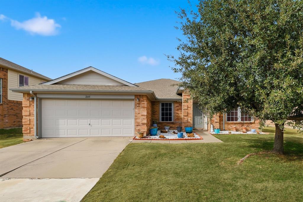 205 Broken Arrow Lane Krum, TX 76249 - Photo 2 of 28 a front view of a house with a yard and palm trees