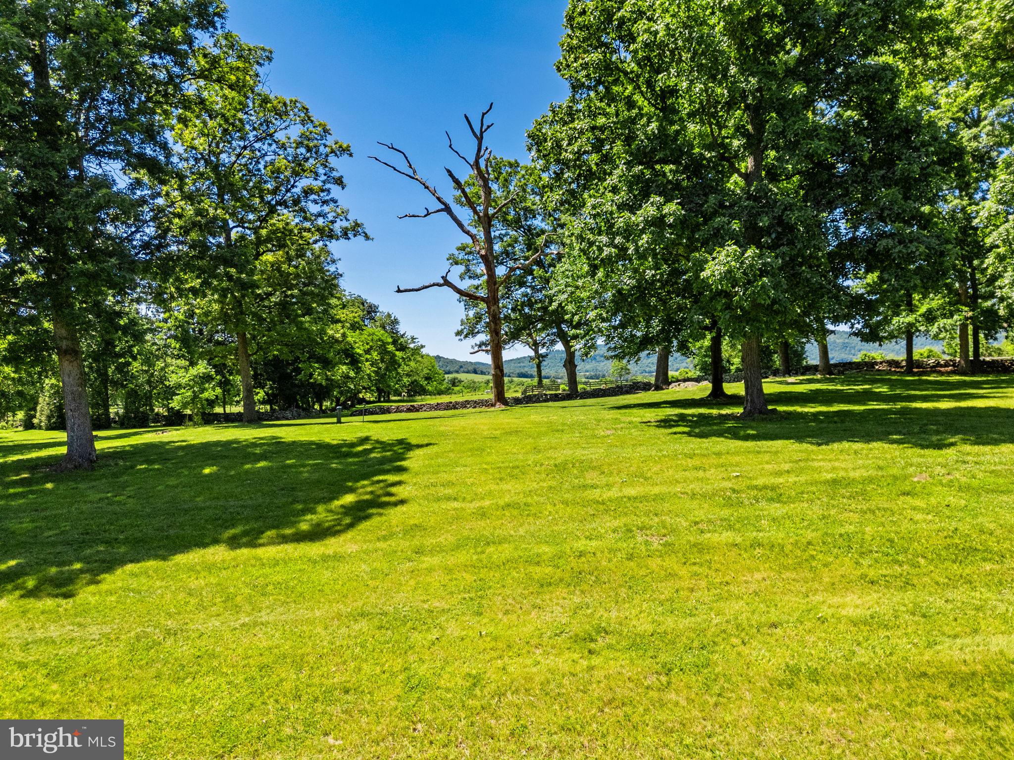 1310 Delaplane Grade Road Upperville, VA 20184 - Photo 50 of 94 View across the back lawns towards the mountains
