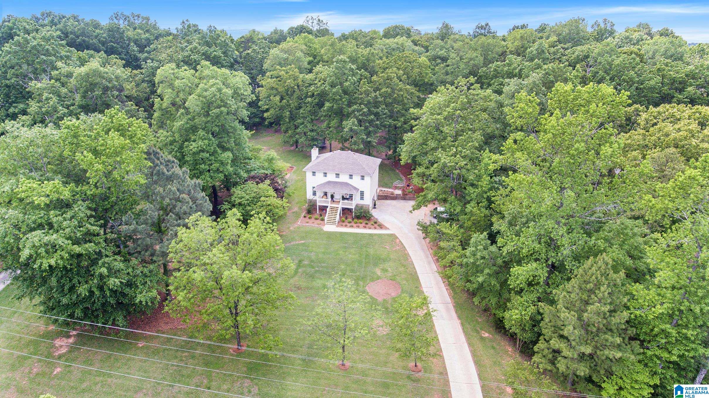 126 Chestnut Drive Alabaster, AL 35007 - Photo 4 of 47