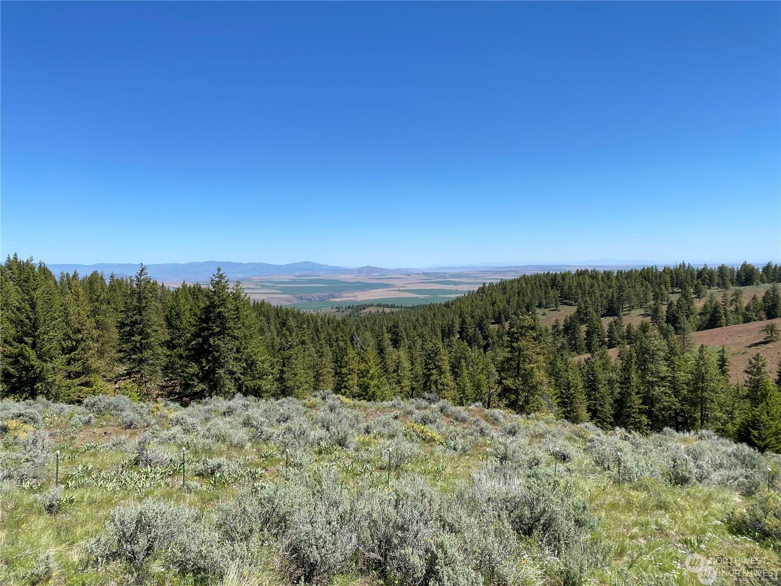 406 Hummingbird Road East Wenatchee, WA 98802 - Photo 1 of 1 Gallery Image 1