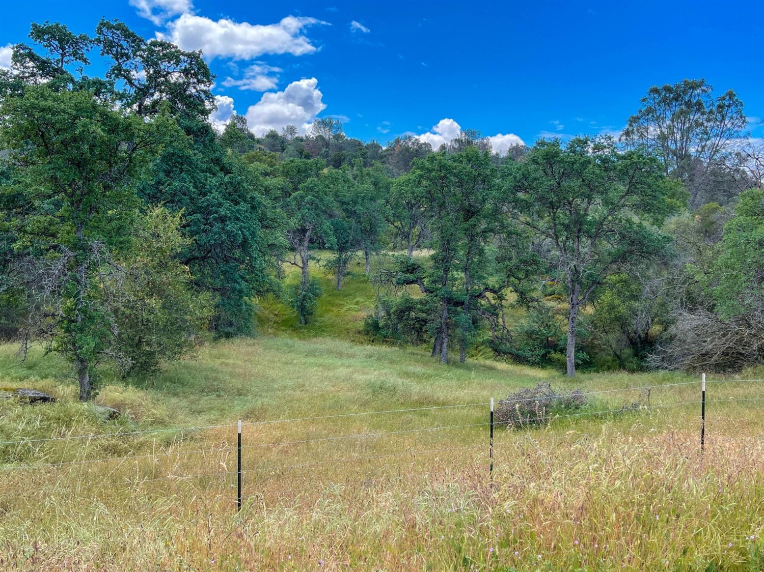 0 Loper Valley Road Prather, CA 93651 - Photo 1 of 10 Gallery Image 1