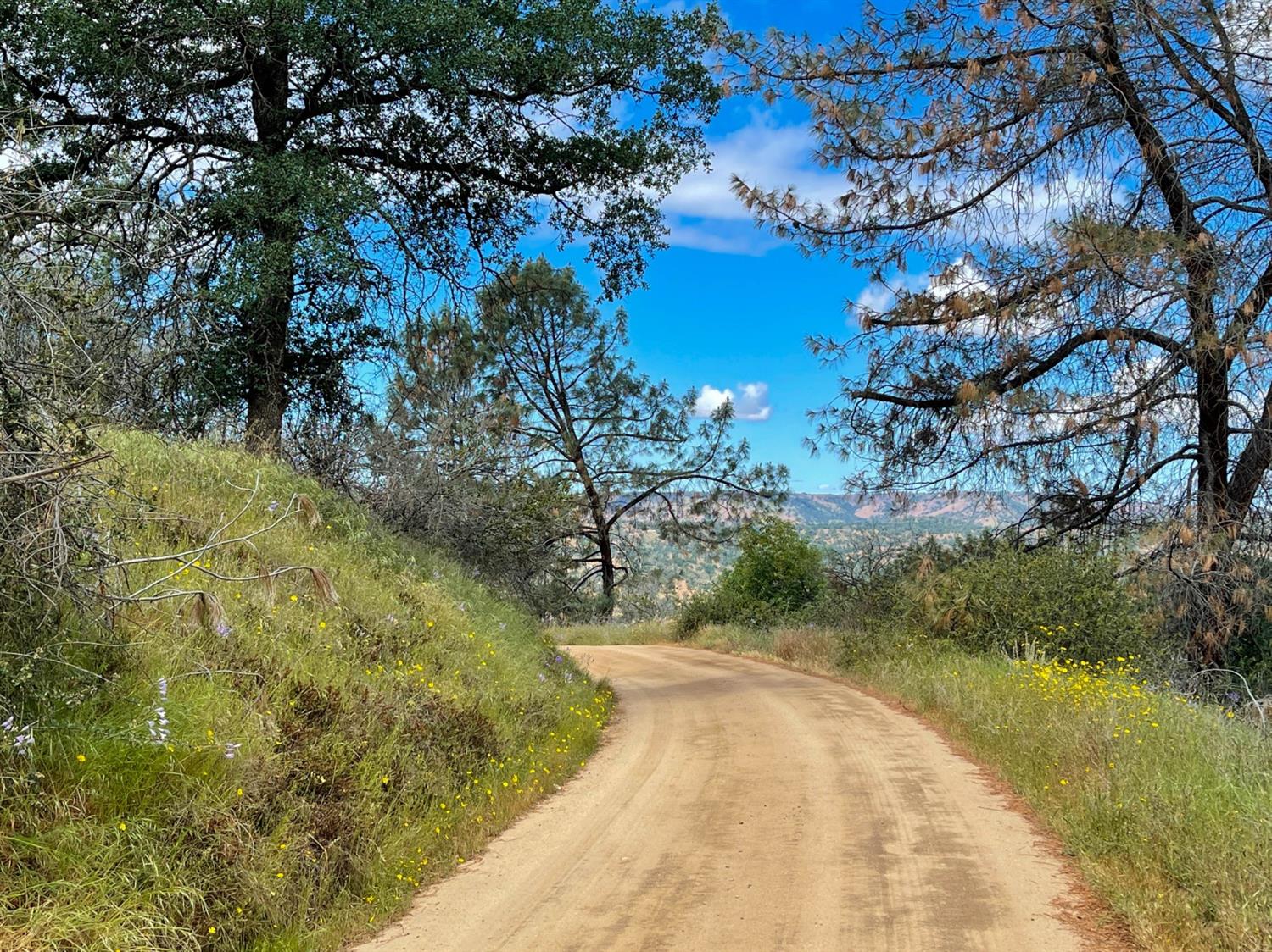 0 Loper Valley Road Prather, CA 93651 - Photo 2 of 10 Gallery Image 2