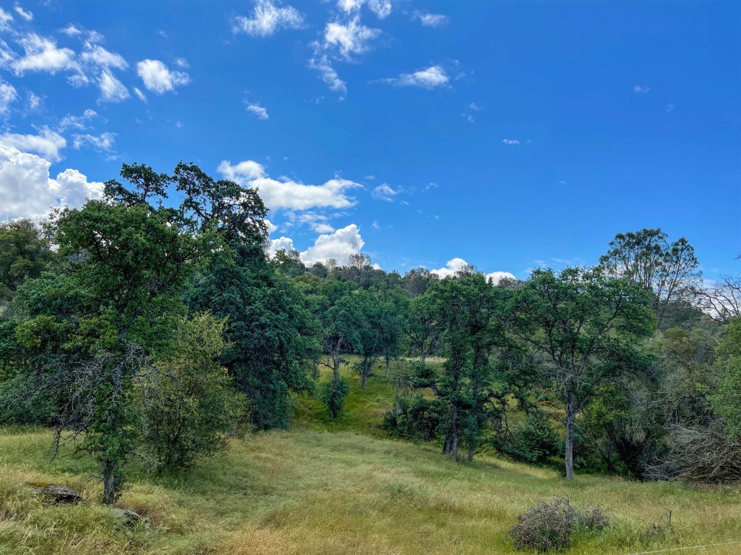 0 Loper Valley Road Prather, CA 93651 - Photo 4 of 10 Gallery Image 4