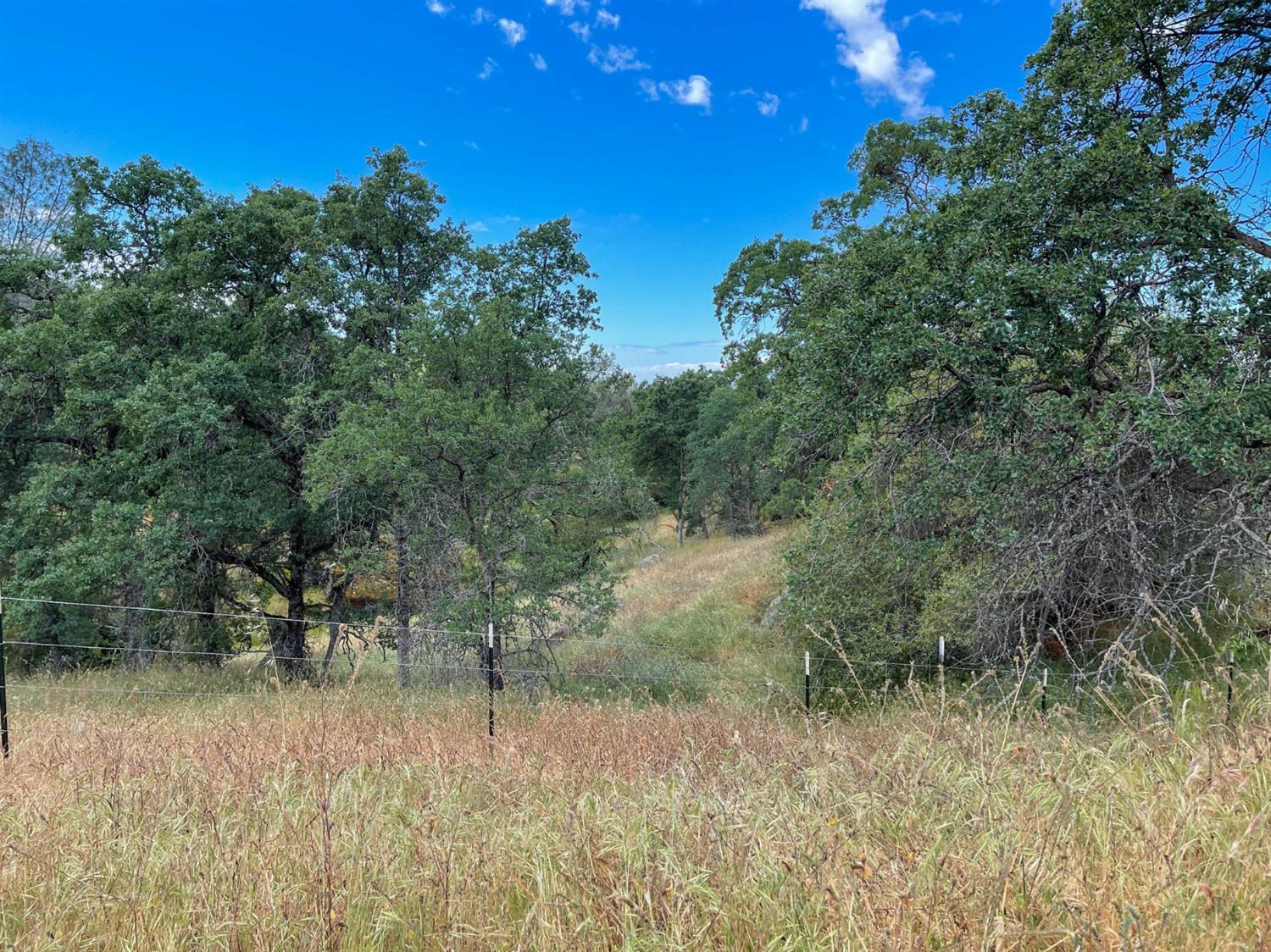 0 Loper Valley Road Prather, CA 93651 - Photo 6 of 10 Gallery Image 6