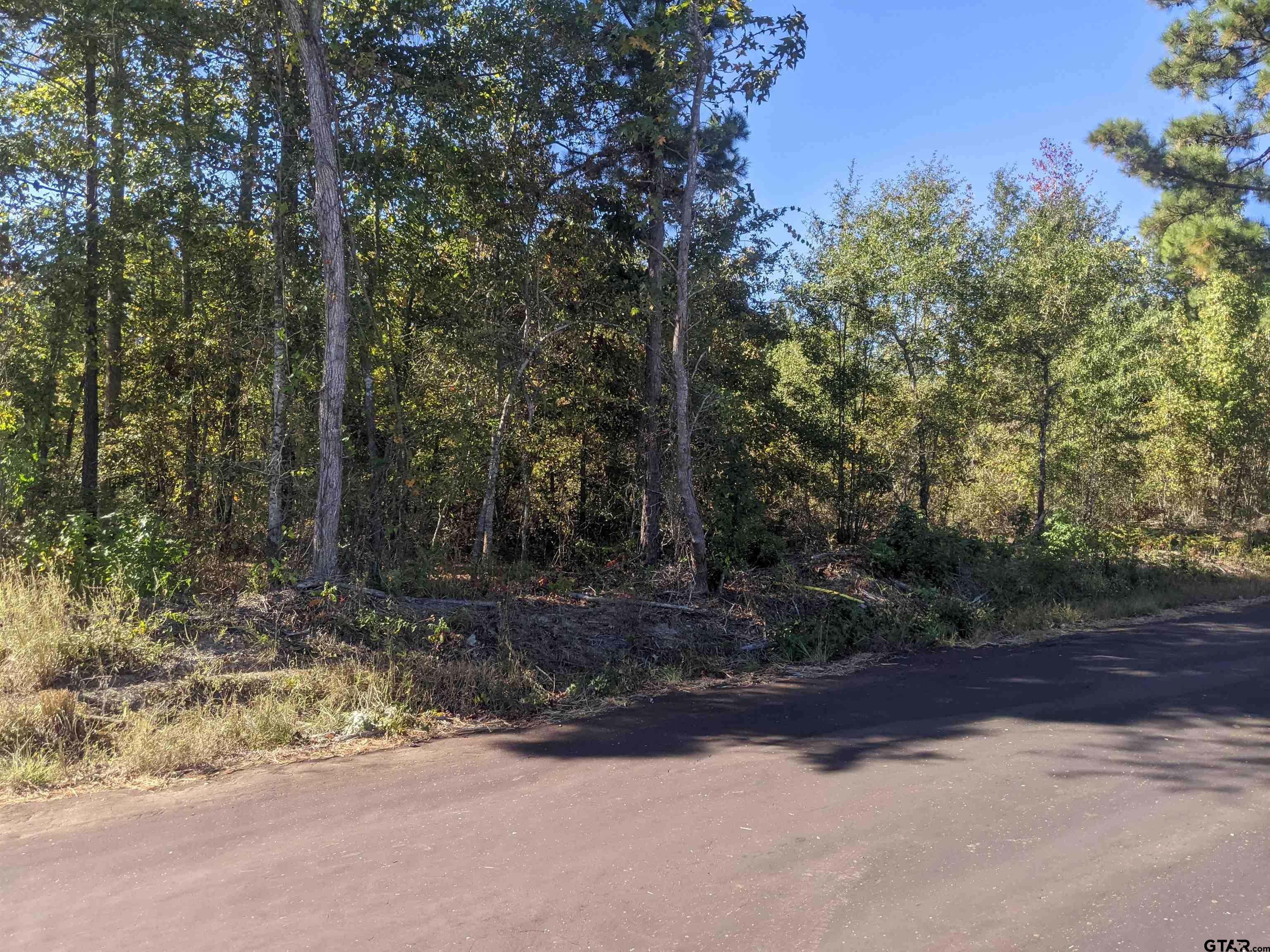 246 S Tyler, TX 75705 - Photo 3 of 4