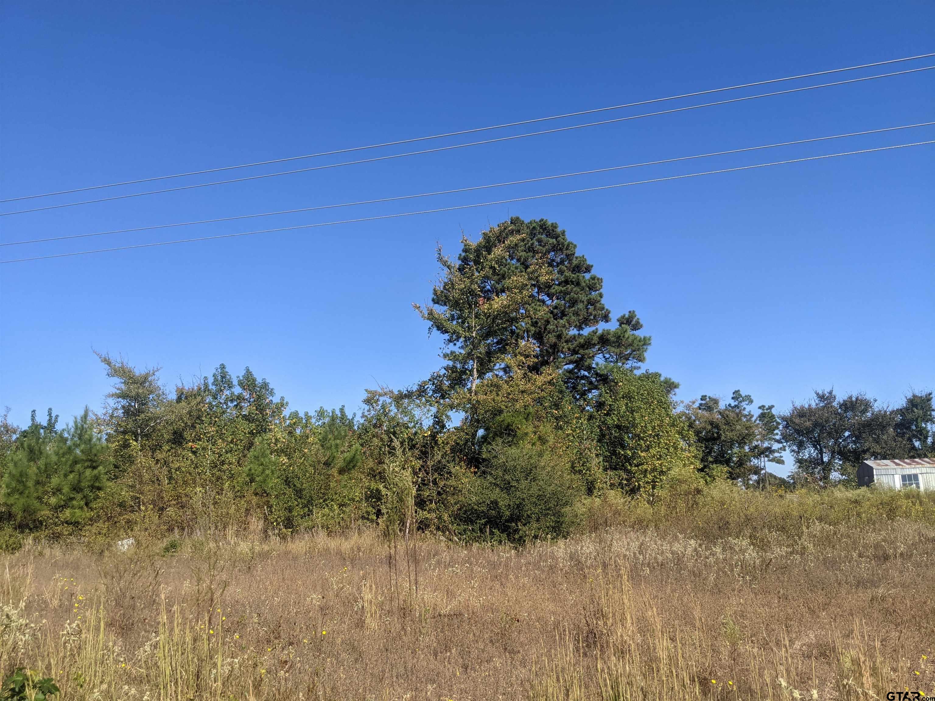 246 S Tyler, TX 75705 - Photo 4 of 4