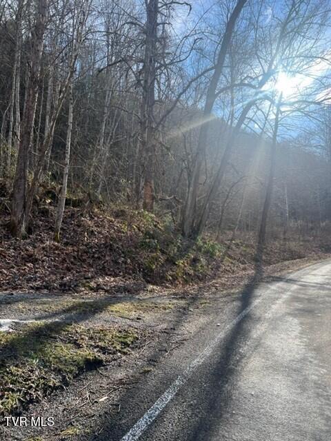 2995 State Rte 606, Unit 13(1)1 Keokee, VA 24265 - Photo 3 of 8 Pix. 2