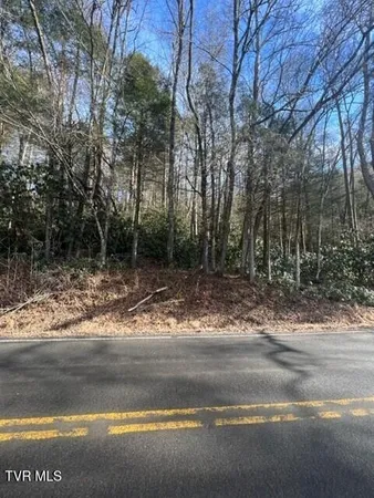 $35,000 | 2995 State Rte 606, Unit 13(1)1, Keokee, VA 24265