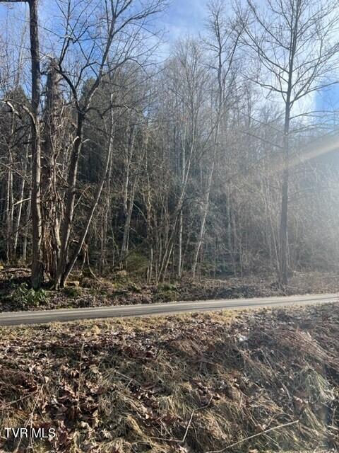 2995 State Rte 606, Unit 13(1)1 Keokee, VA 24265 - Photo 6 of 8 Pix. 6