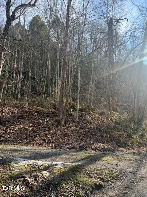 2995 State Rte 606, Unit 13(1)1 Keokee, VA 24265 - Photo 7 of 8 Pix. 7