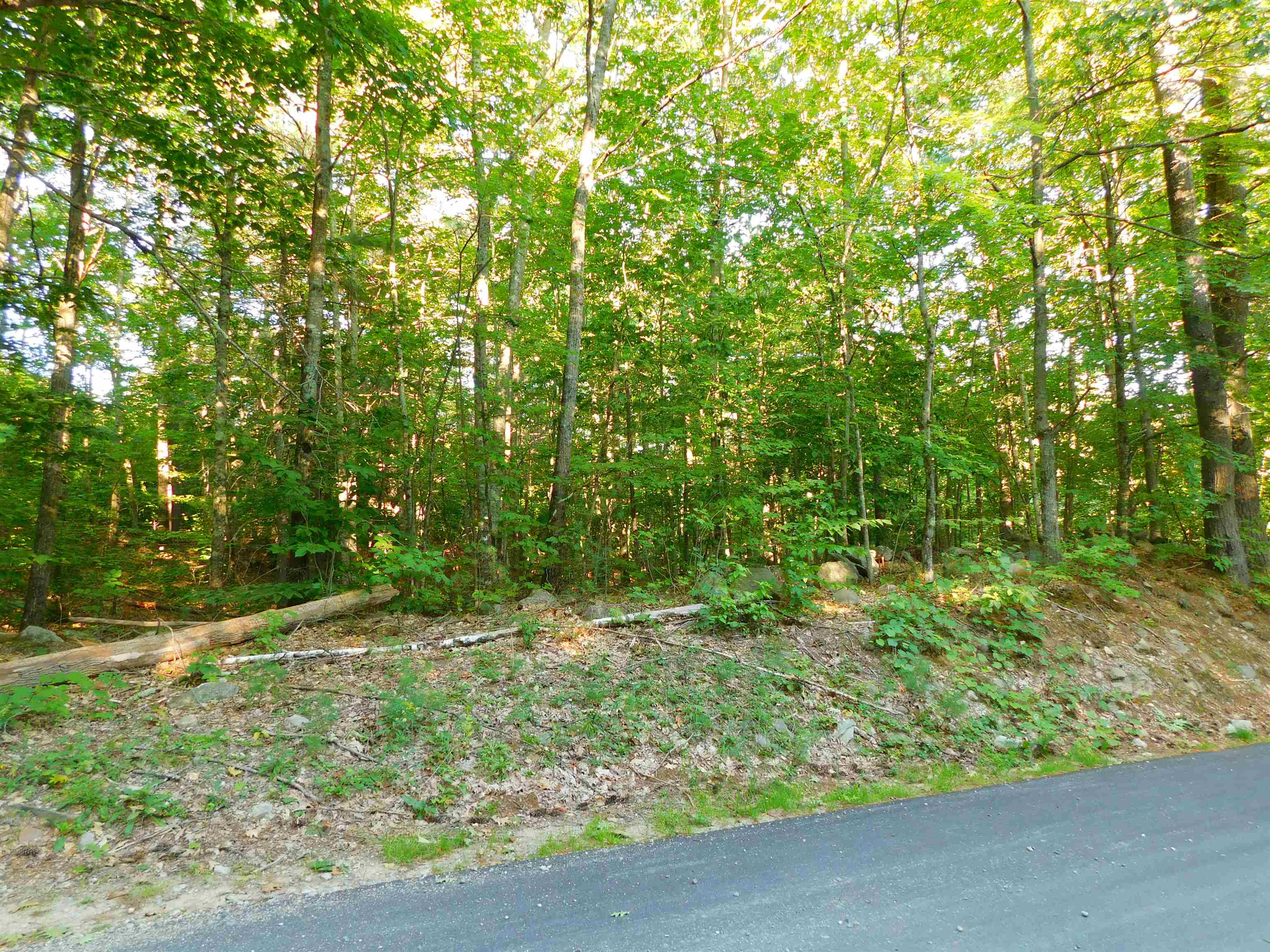 0 Tumble Down Dick Road Brookfield, NH 03872 - Photo 5 of 7 Gallery Image 5