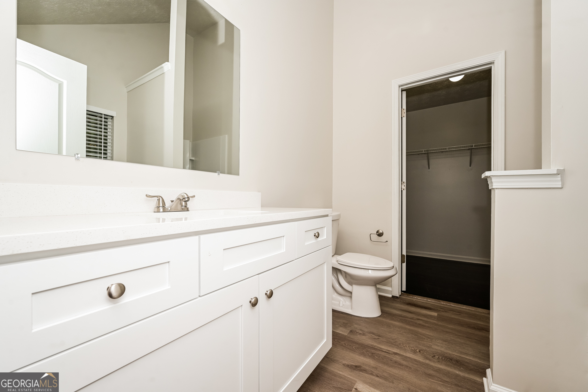 4392 Chester Lane Ellenwood, GA 30294 - Photo 11 of 17 a bathroom with a sink a toilet and a mirror
