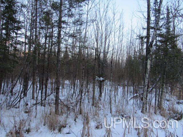 Tbd Tbd Tower Perkins, MI 49872 - Photo 7 of 22
