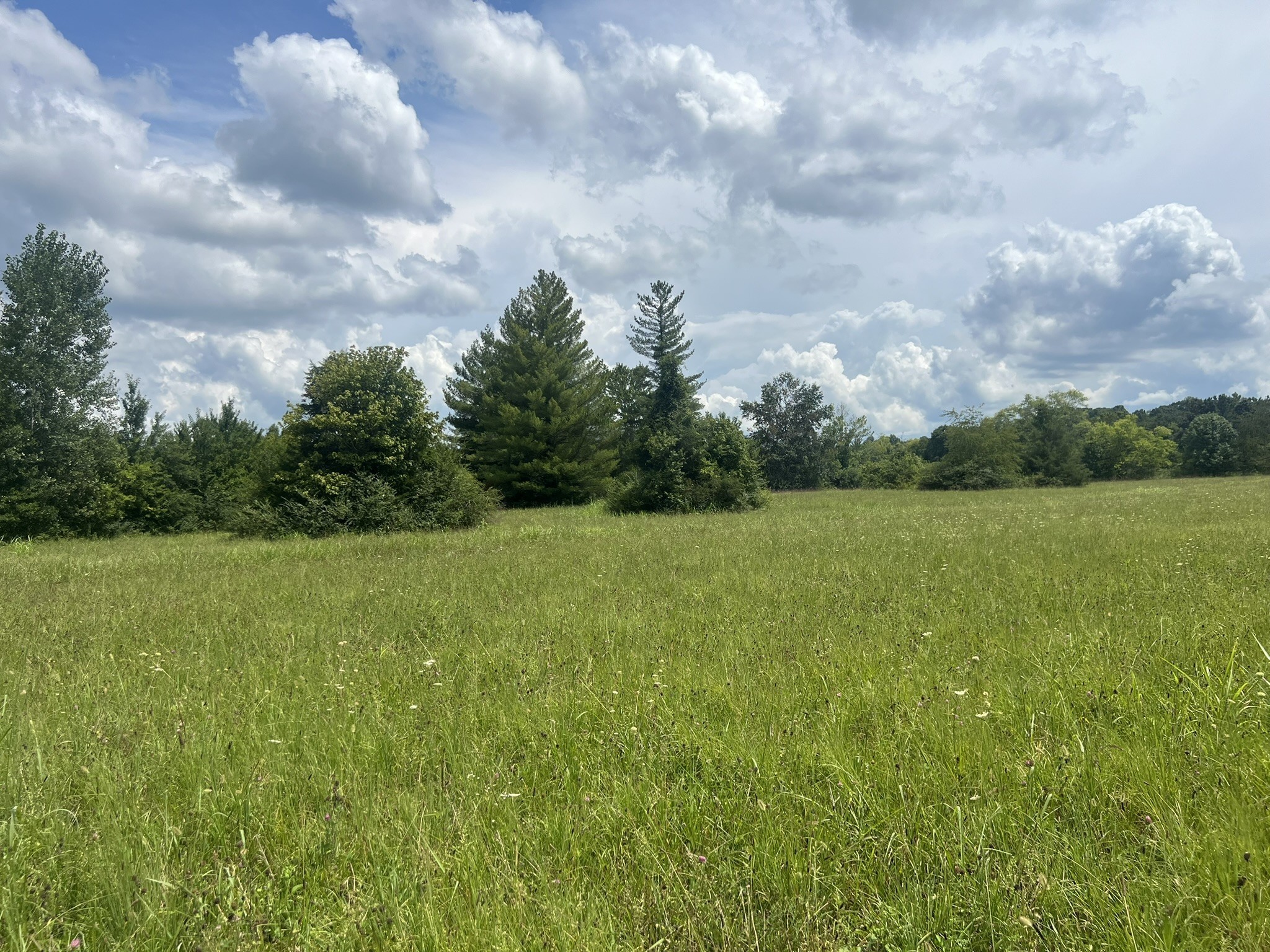 0 Martin Road Portland, TN 37148 - Photo 2 of 26 Gallery Image 2