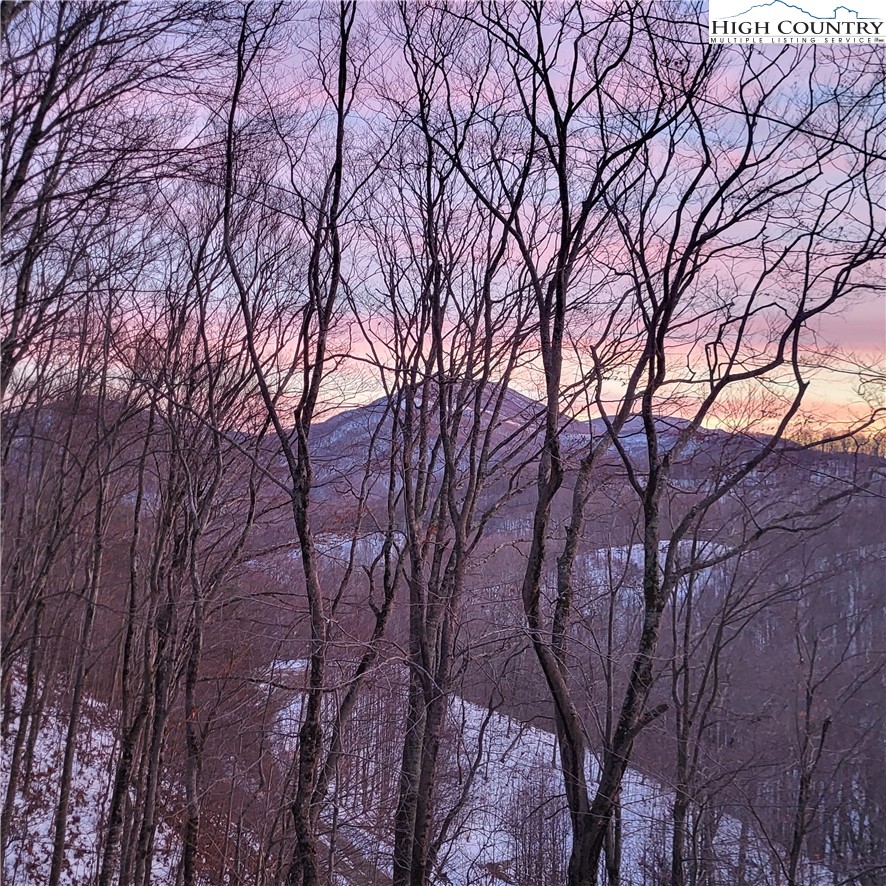 217 Rainbow Ridge Road Zionville, NC 28698 - Photo 39 of 46 a backyard of a house with lots of trees
