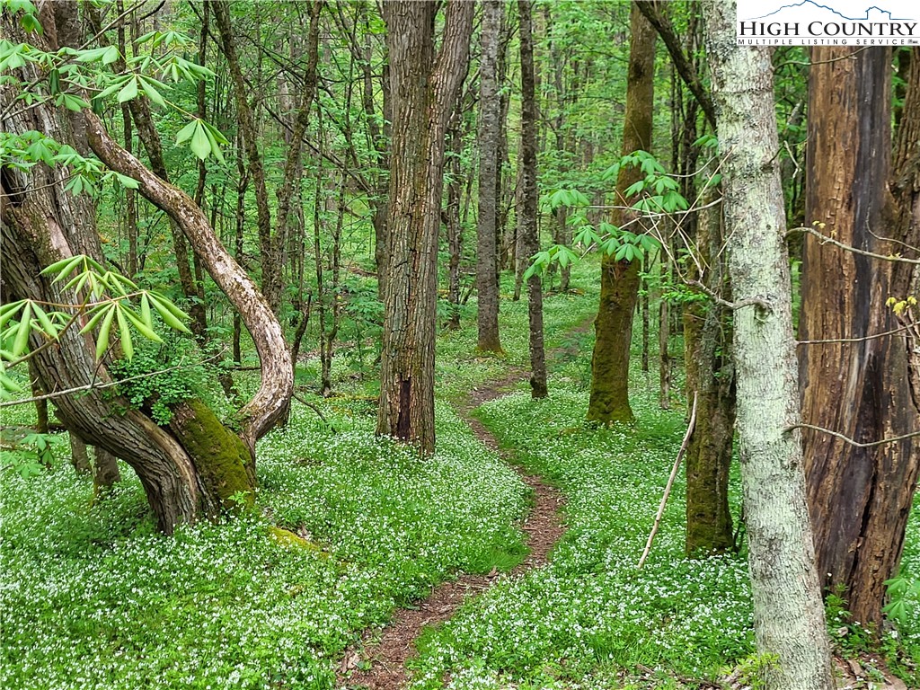 217 Rainbow Ridge Road Zionville, NC 28698 - Photo 40 of 46 a view of a garden