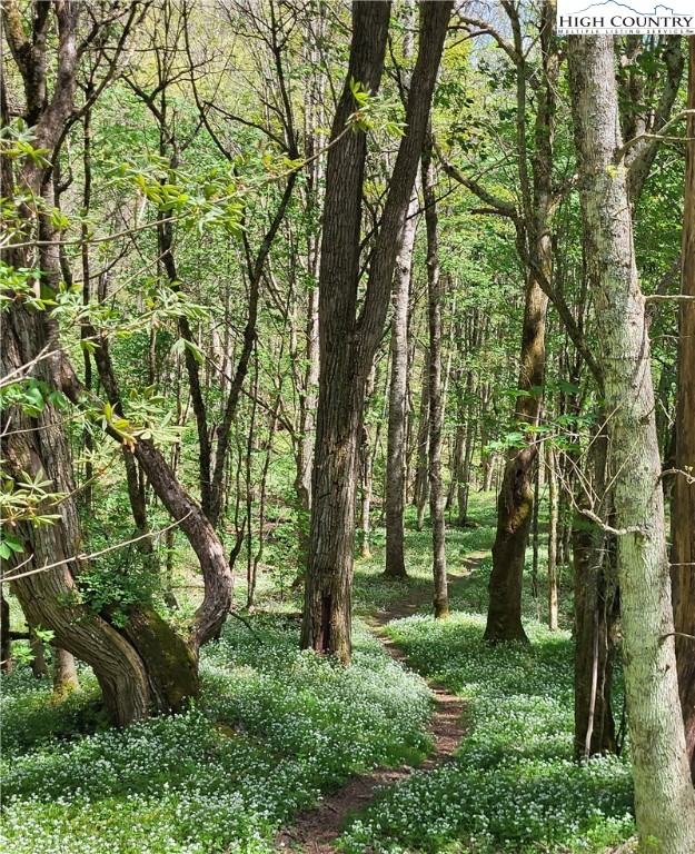 217 Rainbow Ridge Road Zionville, NC 28698 - Photo 41 of 46 a view of backyard with green space