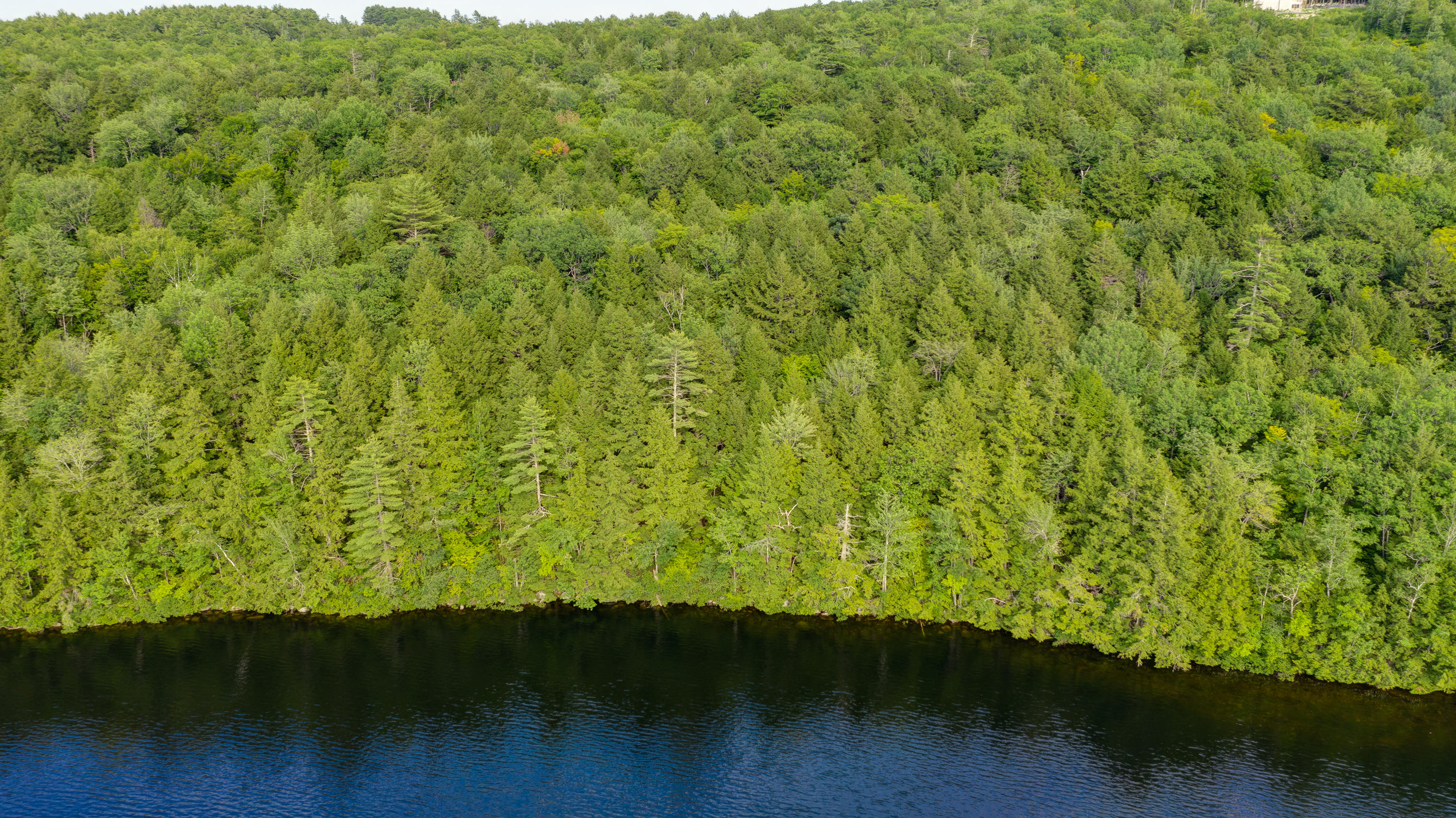 Lot 9 Spring Valley Road Raymond, ME 04071 - Photo 14 of 30 SpringValleyRoad-13