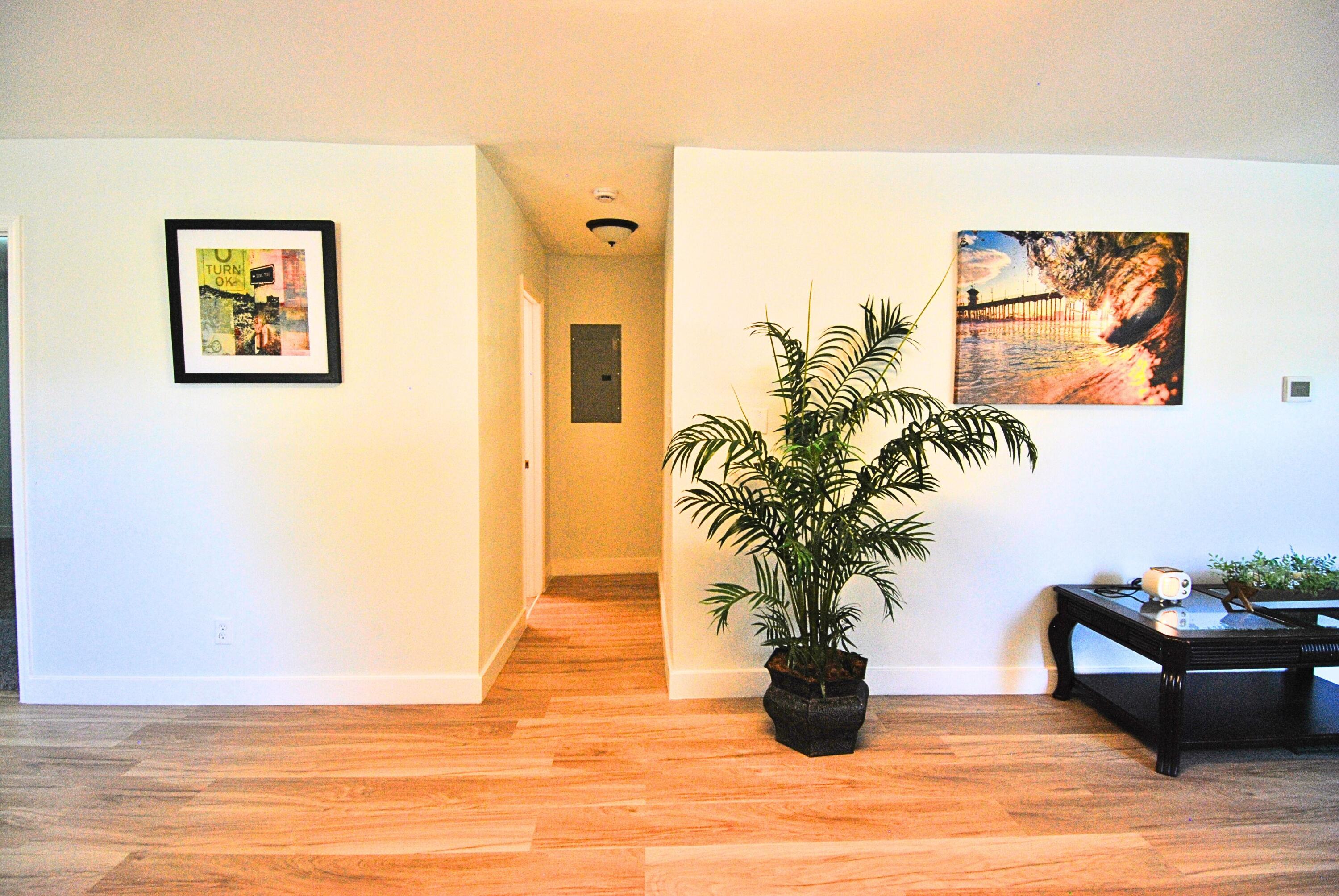 2985 Highway 260 Manning, SC 29102 - Photo 21 of 50 Untitled design (19)