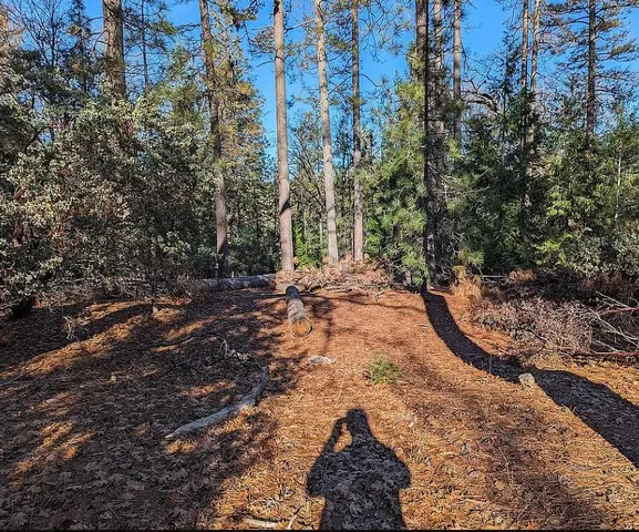 a view of an outdoor space