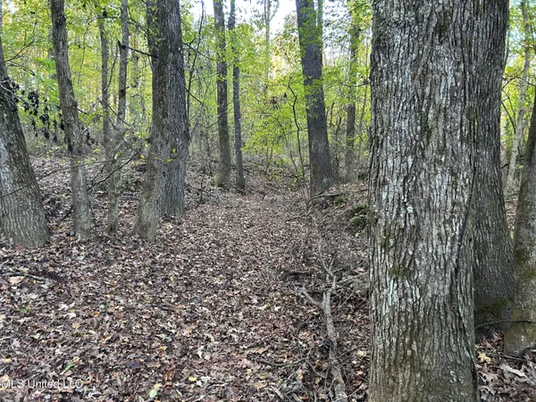 $285,240 | Franklin Drive, Batesville, MS 38606