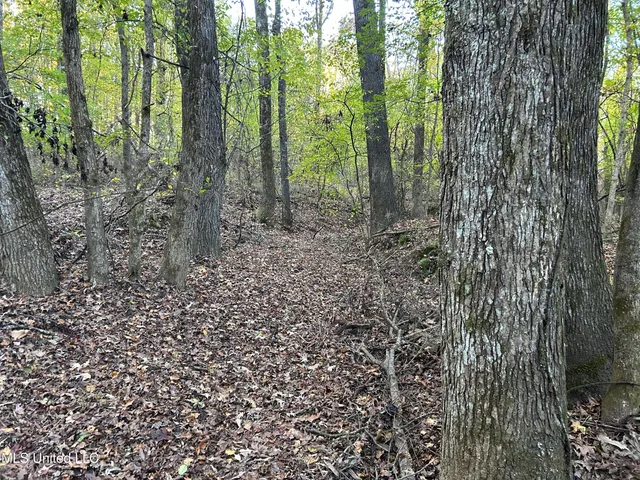 $316,883 | Franklin Drive, Batesville, MS 38606