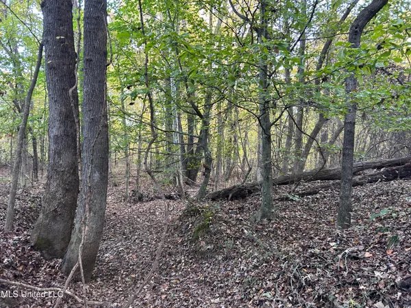 $285,240 | Franklin Drive, Batesville, MS 38606