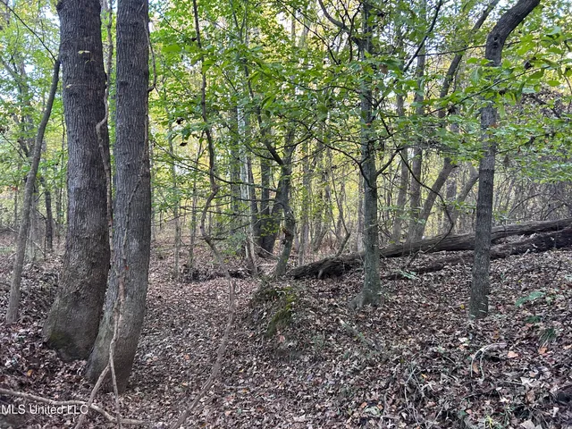 $316,883 | Franklin Drive, Batesville, MS 38606