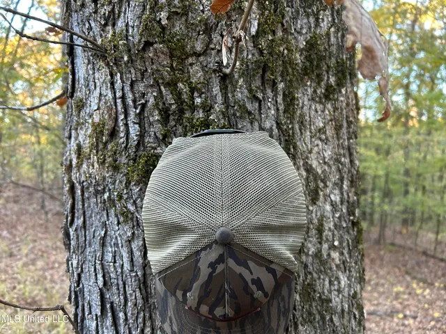 $316,883 | Franklin Drive, Batesville, MS 38606