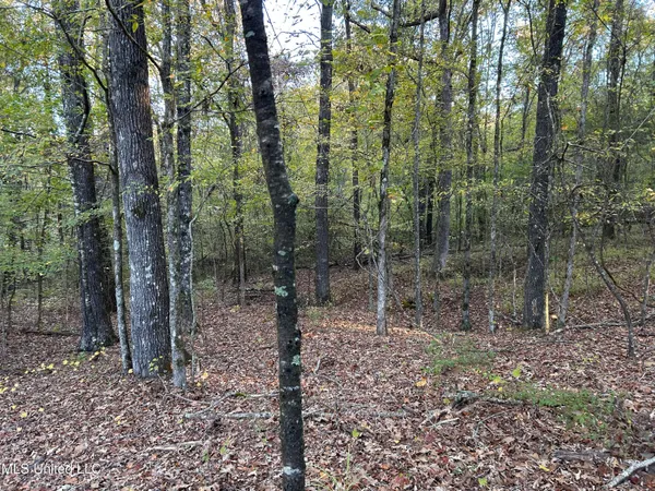 $285,240 | Franklin Drive, Batesville, MS 38606