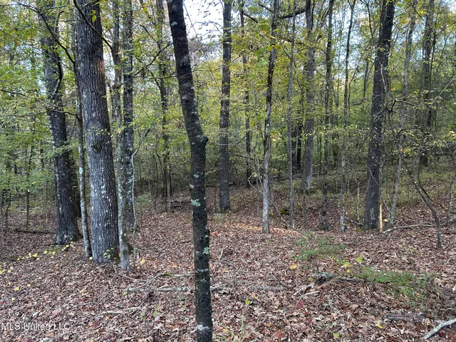 $316,883 | Franklin Drive, Batesville, MS 38606