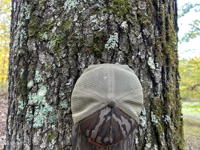 $316,883 | Franklin Drive, Batesville, MS 38606