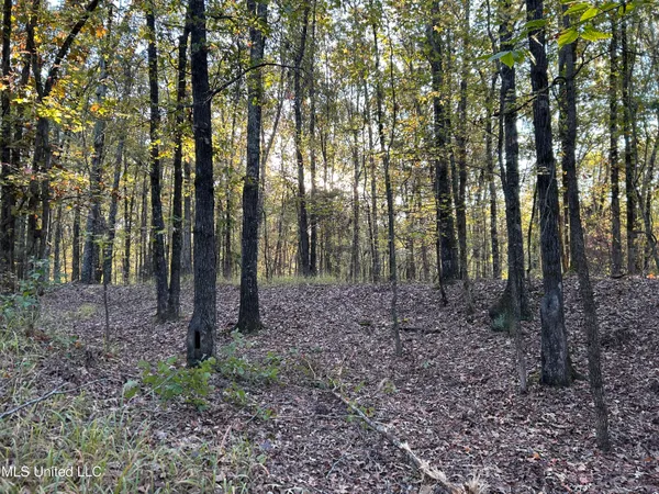 $285,240 | Franklin Drive, Batesville, MS 38606