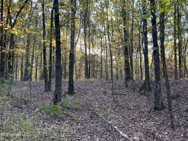 $316,883 | Franklin Drive, Batesville, MS 38606