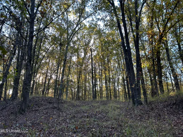 $285,240 | Franklin Drive, Batesville, MS 38606