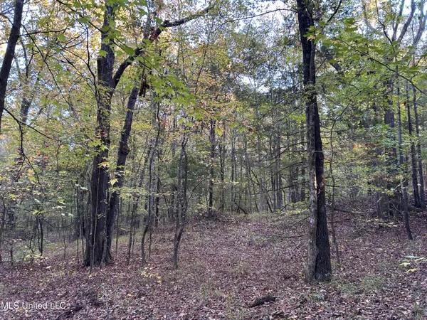 $285,240 | Franklin Drive, Batesville, MS 38606