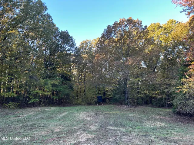 $316,883 | Franklin Drive, Batesville, MS 38606