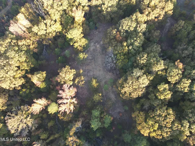 $316,883 | Franklin Drive, Batesville, MS 38606