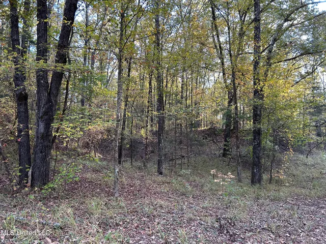 $316,883 | Franklin Drive, Batesville, MS 38606