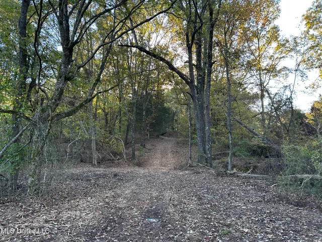 $316,883 | Franklin Drive, Batesville, MS 38606