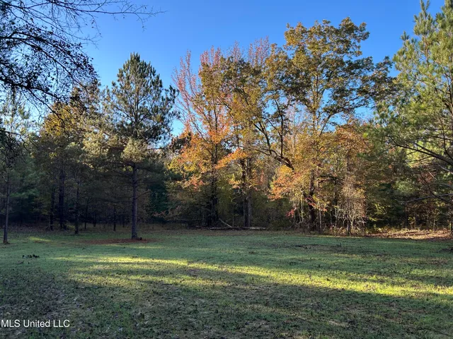 $316,883 | Franklin Drive, Batesville, MS 38606