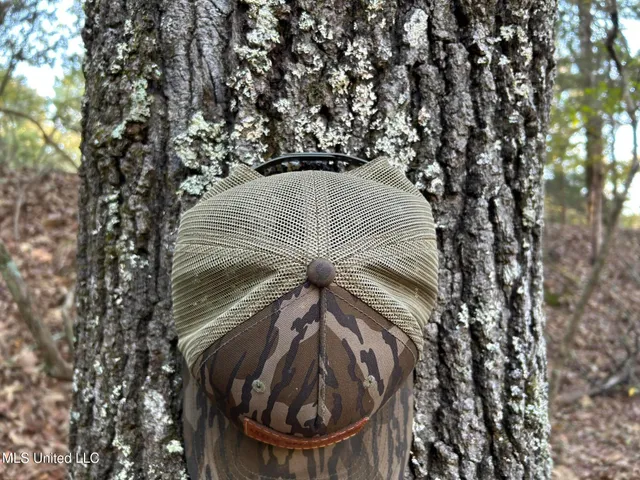 $316,883 | Franklin Drive, Batesville, MS 38606